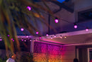 TwinklyFestoon Lights 20 RGB