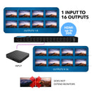 Divisor HDMI 1x16: 1 entrada, 16 salidas, UltraHD 4K, EDID (UHDS-1016) 