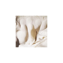 PicoSTEM Porcelana blanca de 25 libras