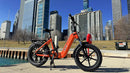 Bicicleta eléctrica plegable YOUNG Electric E-Flow de 750 W
