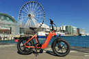 Bicicleta eléctrica plegable YOUNG Electric E-Flow de 750 W