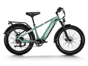 Himiway D5 (Zebra) / Bicicleta eléctrica todoterreno con neumáticos gruesos
