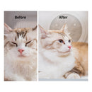 Secador para mascotas PETKIT AirSalon Max Pro