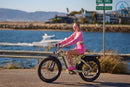BICICLETA ELÉCTRICA DE CAZA CHEETAH