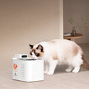 Kit Inteligente Avanzado PETKIT