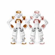 nao v6   ai edition 2