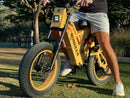Rundeer Attack10 Off Road Electric Bike