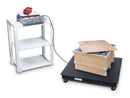 Báscula contadora OHAUS RC41M30 Ranger 4000 30 kg x 0,1 g 1 año de garantía