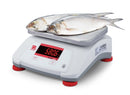OHAUS V22XWE30T Valor 2000 60 x .01 lb Compact Bench Scale