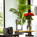 AROMELY - ARO 25 MAX - Difusor de aromas inteligente Bluetooth hasta 1500 pies cuadrados. 