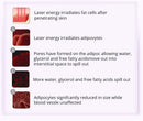 Shape Tactics - 9-in-1 Lipo Microcurrent Photon Ultrasonic Cavitation