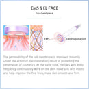 Shape Tactics - S-Shape Ultrasonic 30K Cavitation EMS Vacuum