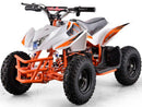 MotoTec Mini Quad v5