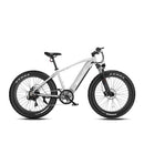 Bicicleta eléctrica de ruedas anchas Velowave Ranger