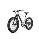 Bicicleta eléctrica de ruedas anchas Velowave Ranger