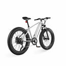 Bicicleta eléctrica de ruedas anchas Velowave Ranger