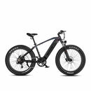 Bicicleta eléctrica de ruedas anchas Velowave Ranger