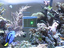 AquaGenesis RoboSnail Automatic Aquarium Glass Cleaner for Fish Tanks Cleaning Robots AquaGenesis