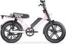 XPRIT Beach Seal Electric Bike