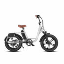 VELOWAVE PRADO S COMMUTER EBIKE