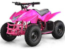 MotoTec Mini Quad v5