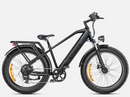 ENGWE E26 Electric Bike