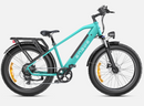 ENGWE E26 Electric Bike
